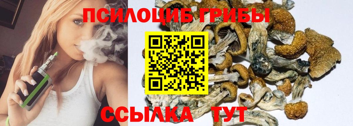 Галлюциногенные грибы мицелий Бузулук